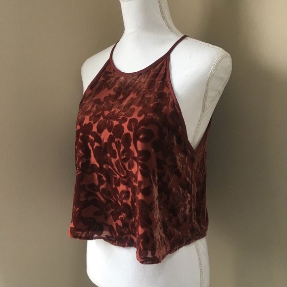 Forever 21 Tops - Velvet Crop Top